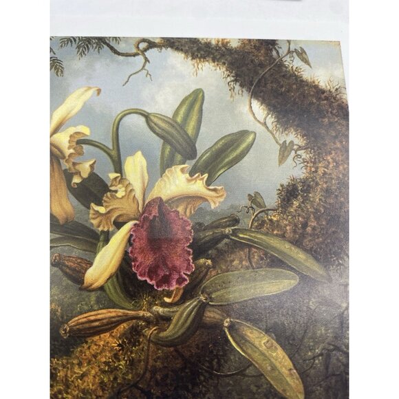 Museum of Fine Arts Boston Note Cards 6 Blank Orchids Hummingbirds w/ Envelopes - Picture 12 of 15